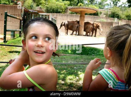 June 19, 2013 - Memphis, Tennessee, U.S. - June 19, 2013 - Braelyn Sullivan (left) and Ashlin Petty watch the elephants at The Memphis Zoo on Wednesday. The zoo is renovating the Elephant exhibit and filing in the moat. Construction workers from Mayer Construction poured concrete into part of the mote on Wednesday. (Credit Image: © Karen Pulfer Focht/The Commercial Appeal/ZUMAPRESS.com) Stock Photo