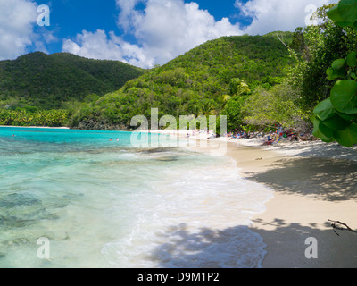 Hawksnest Bay Beach on the Caribbean Island of St John in the US Virgin Islands Stock Photo