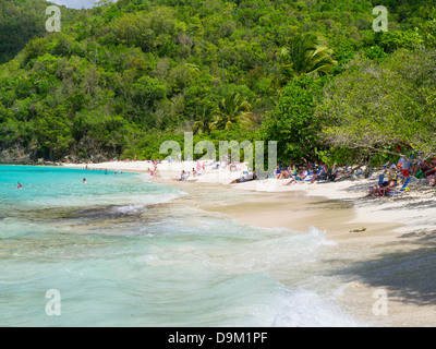 Hawksnest Bay Beach on the Caribbean Island of St John in the US Virgin Islands Stock Photo