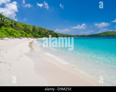 Hawksnest Bay Beach on the Caribbean Island of St John in the US Virgin Islands Stock Photo