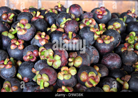 A Mangosteen is Domestic Fruit in Thailand. Stock Photo