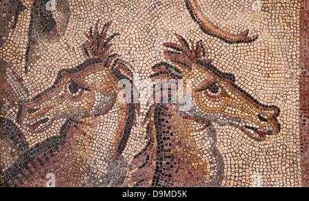 Roman mosaic fragment of two horses part of an original of the Triumph of Neptune in Museum Rolin Autun France