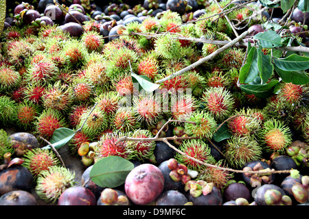 Rambutan and other fruits Domestic in Thailand. Stock Photo