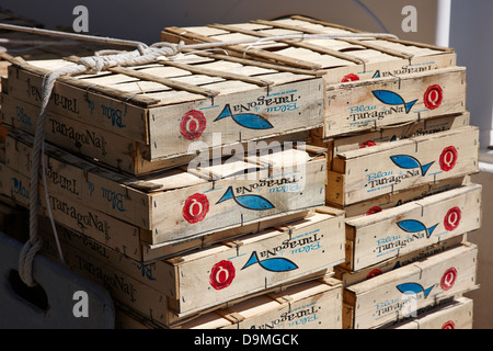 empty crates for bluefish tarragona sardines in the port harbour of Cambrils Catalonia Spain Stock Photo