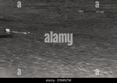 PARADISE BEACH, PHUKET, THAILAND JANUARY 28 2013: Tourist gets tan while swimming at Paradise Beach Stock Photo