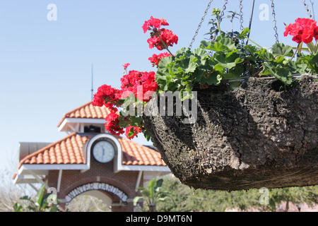 Main Street, City of Winter Garden, Central Florida, United States. Stock Photo