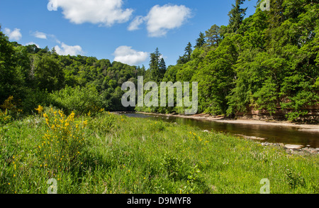 LOW WATER LEVELS IN THE SALMON POOLS IN JUNE RIVER FINDHORN MORAY SCOTLAND Stock Photo