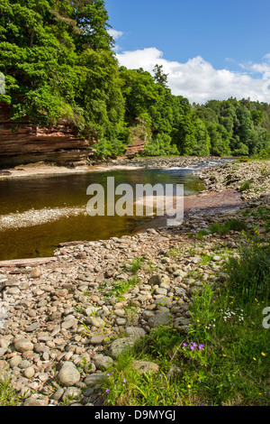 RIVER FINDHORN AT DARNAWAY IN JUNE WITH LOW WATER LEVELS IN THE SALMON POOLS MORAY SCOTLAND Stock Photo