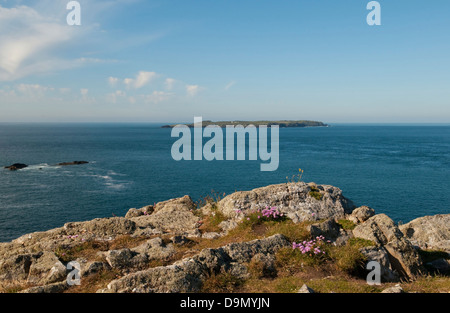 View towards Skokholm Island, Pembrokeshire, from Deer Park Stock Photo