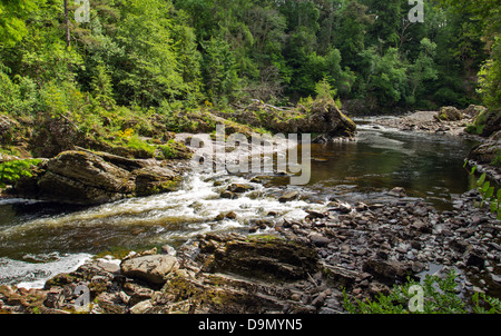 RIVER FINDHORN AT DARNAWAY WITH LOW WATER LEVEL FOR SALMON FISHING IN JUNE MORAY SCOTLAND Stock Photo