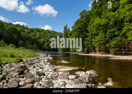 RIVER FINDHORN AT DARNAWAY WITH VERY LOW WATER IN THE SALMON POOLS IN JUNE MORAY SCOTLAND Stock Photo
