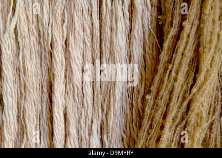 Texture of wool with colors, background Stock Photo
