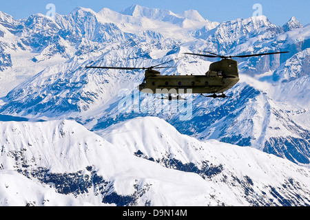 A US Army CH-47 Chinook helicopter flies along the Alaska Range on its way to Kahiltna Glacier May 20, 2013. A team of eight soldiers and one Army civilian from Fort Wainwright were transported to the National Park Service base camp on the glacier to begin their attempt to climb Mount McKinley, North America's tallest peak. Stock Photo