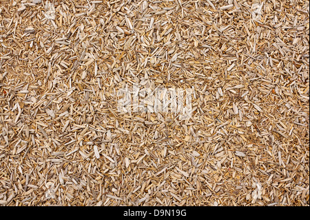 woodchip background great concept for a sawmill or carpenter could also be a playground safety floor Stock Photo