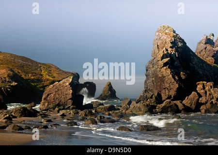 OR01093-00...OREGON - Seastacks at Lone Ranch Beach at the edge of the Pacific Ocean in Samuel H. Boardman State Park. Stock Photo