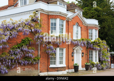 Wisteria floribunda growing around a red-brick Georgian house front in picturesque village. Lavenham Suffolk England UK Britain Stock Photo