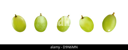 grape Stock Photo