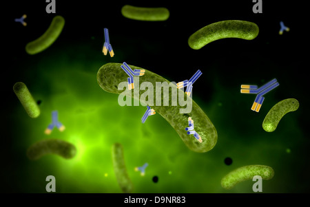 Conceptual image of antibody attaching and killing bacteria. Stock Photo