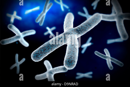 Microscopic view of chromosome. Stock Photo