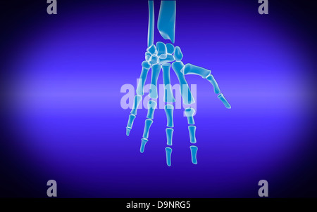 X-ray view of human hand. Stock Photo