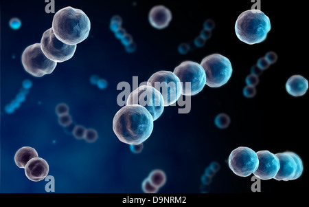 Microscopic view of streptococcus. Stock Photo