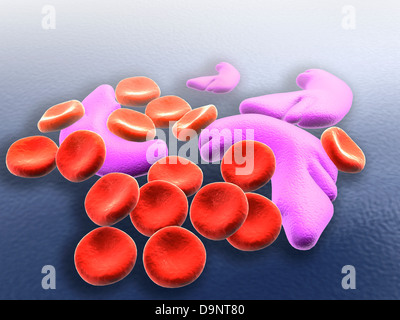 Conceptual image of sickle cell anemia Stock Photo