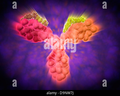 Microscopic view of a human antibody Stock Photo