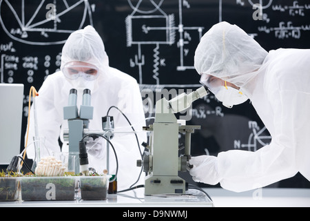 close-up of two scientists manipulating microscopes in a chemistry lab on a worktable with a blackboard on the background Stock Photo