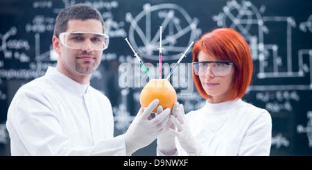 close-up of two scientists in a chemistry lab analyzing chemical reactions on an injected grapefruit Stock Photo