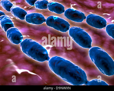 Microscopic view of bacterial pneumonia. Stock Photo
