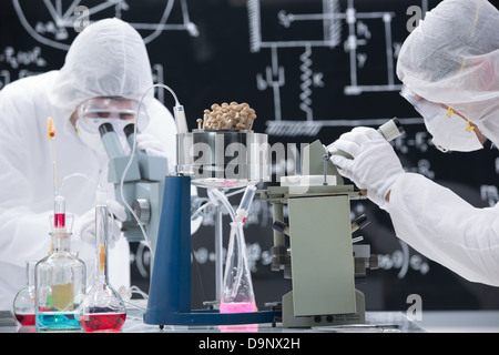 close-up of two scientists in a chemistry lab analyzing colorful substances and mushrooms with a blackboard on the background Stock Photo