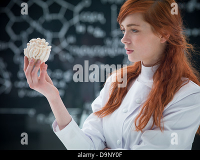 close-up of a student analyzing mushrooms in a chemisty lab with a blackboard on the background Stock Photo