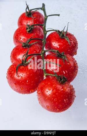 Beauty tasty fresh red tomatoes on green stem. Stock Photo