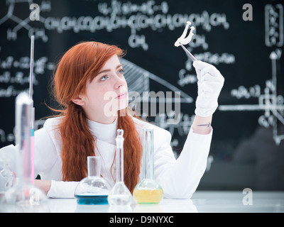 close-up of a student in a chemistry lab analyzing a bunch of mushrooms around a lab table with colorful liquids and a blackboar Stock Photo