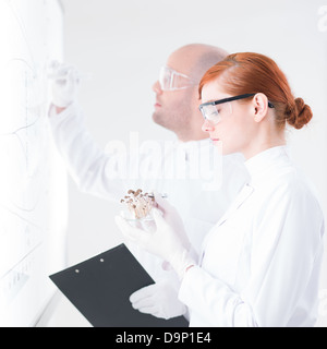 close-up of one girl student analyzing a bunch of mushrooms and her teacher writing on a white-board in a chemistry lab Stock Photo