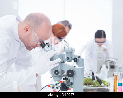 side-view of man in chemistry lab analyzing under microscope and another three researchers on the background Stock Photo
