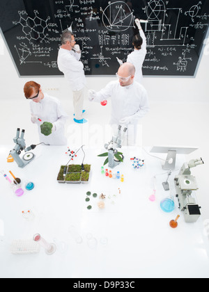 bird-eye of four people in a chemistry lab conducting experiments , analyzing substances around a lab table and writing on a bla Stock Photo