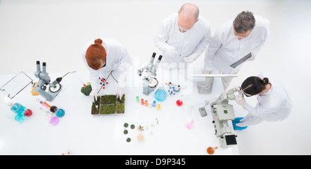 bird-eye of two teachers people in a chemistry lab supervising two students conducting experiments on a lab table with colorful Stock Photo