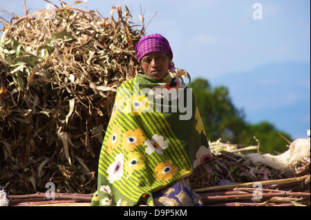 Exklusiv: Eine Frau sitzt am 15.03.2013 in einem Vorort von Addis Adeba (Äthiopien) auf einem Stoß von Eukalyptus-Zweigen. Foto: Ursula Düren/dpa Stock Photo