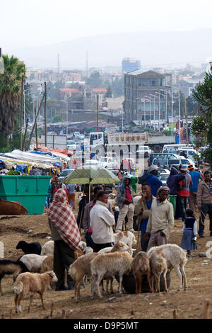 A cattle market on the outskirts of the Ethiopian capital, Addis Ababa  on 15/03/2013. Photo: Ursula Dueren Stock Photo