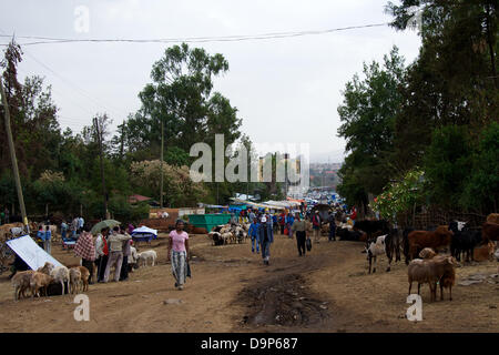 A cattle market on the outskirts of the Ethiopian capital, Addis Ababa  on 15/03/2013. Photo: Ursula Dueren Stock Photo