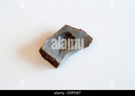 A close-up shot of an aboriginal stone cutting tool. It was found on a beach in Wollongong, Australia. Stock Photo