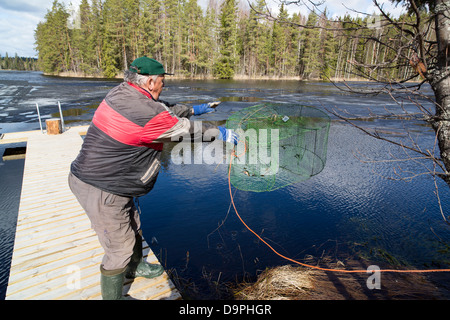 Elderly man throwing a fish trap ( katiska ) into water , Finland Stock Photo