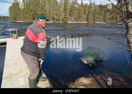 Elderly man throwing a fish trap ( katiska ) into water , Finland Stock Photo