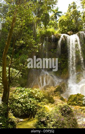 El Nicho waterfall, in Scambray mountains. Cienfuegos province, Cuba. Stock Photo