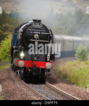 New build Peppercorn A1 class steam locomotive in the Scottish highlands near Inverness working the Cathedrals express railtour Stock Photo