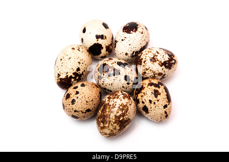 quail eggs forming a circle on a white background Stock Photo