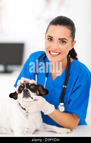 professional female vet nurse checking pet dog eyes Stock Photo