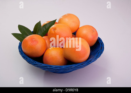 group of fresh ruby red grapefruits cut and whole Stock Photo