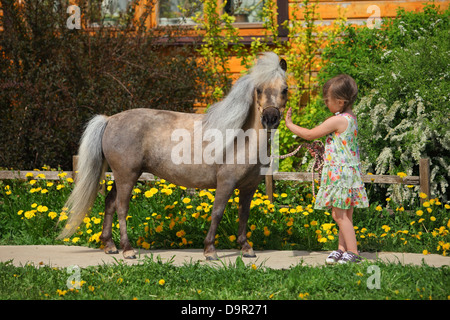 Falabella miniature horse portrait with little girl Stock Photo